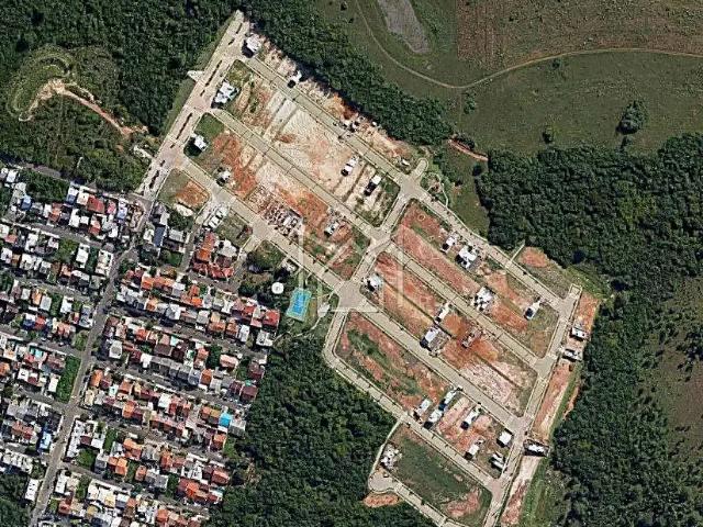 Terreno / Lote para Venda em Gravataí/RS Loteamento Jardim Timbaúva