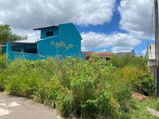 Terreno / Lote para Venda em Gravataí/RS Loteamento Jardim Timbaúva