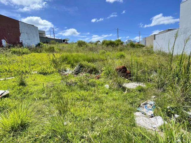 Terreno / Lote para Venda em Gravataí/RS Loteamento Jardim Timbaúva