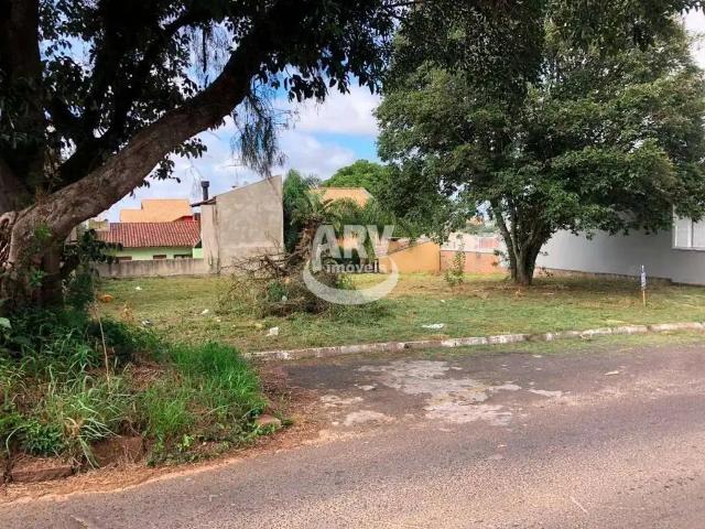 Terreno / Lote para Venda em Gravataí/RS Loteamento Jardim Timbaúva