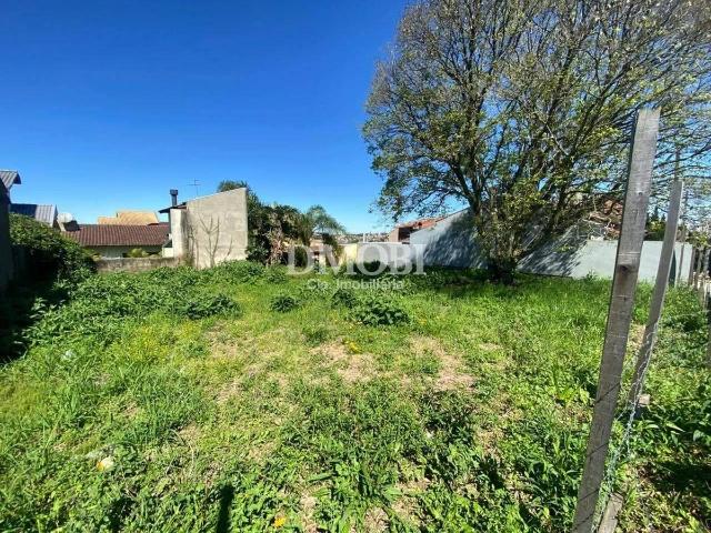 Terreno / Lote para Venda em Gravataí/RS Loteamento Jardim Timbaúva