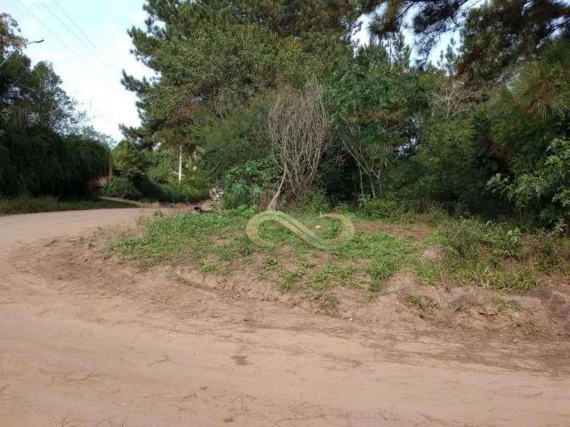 Terreno / Lote para Venda em Gravataí/RS Loteamento Rural Palermo