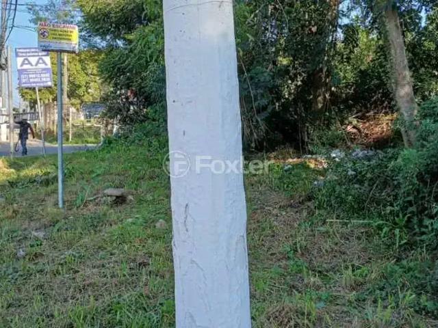 Terreno / Lote para Venda em Gravataí/RS Passo das Pedras