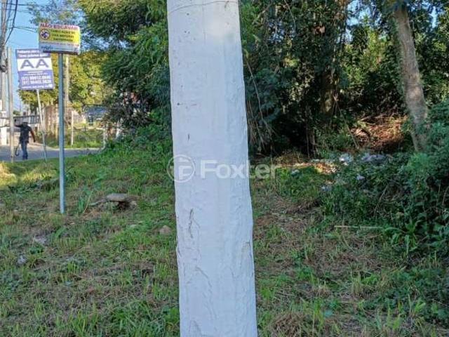 Terreno / Lote para Venda em Gravataí/RS Passo das Pedras