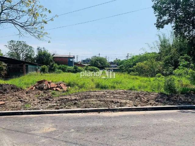 Terreno / Lote para Venda em Gravataí/RS Passo das Pedras