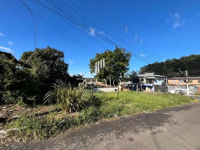 Terreno / Lote para Venda em Gravataí/RS Parque dos Eucalíptos