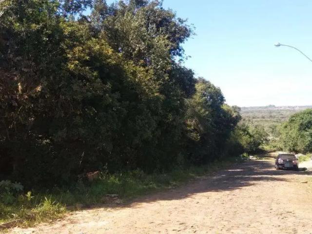 Terreno / Lote para Venda em Gravataí/RS Parque Olinda