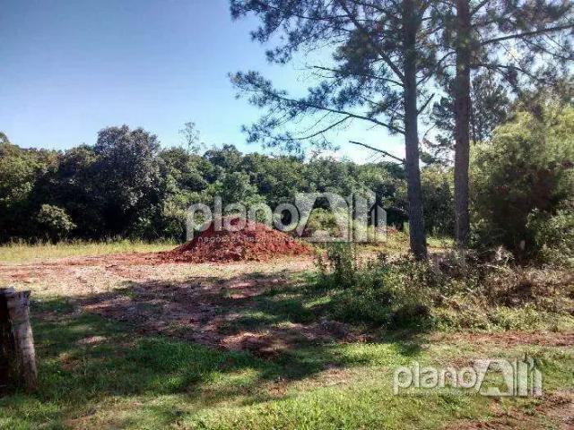 Terreno / Lote para Venda em Gravataí/RS Recanto Corcunda