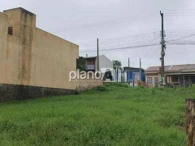 Terreno / Lote para Venda em Gravataí/RS Rincão da Madalena
