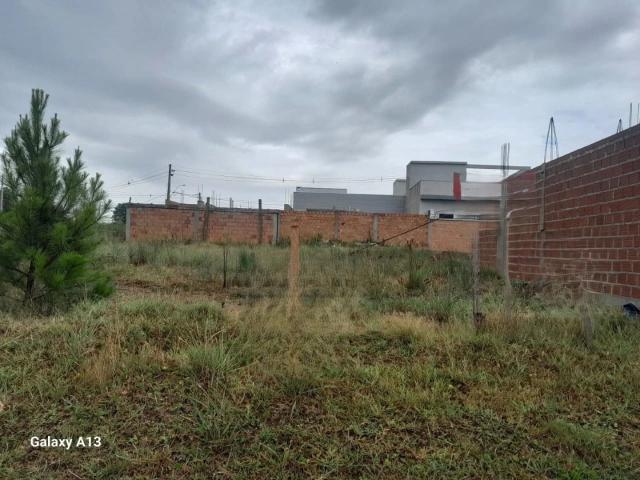 Terreno / Lote para Venda em Gravataí/RS São Vicente
