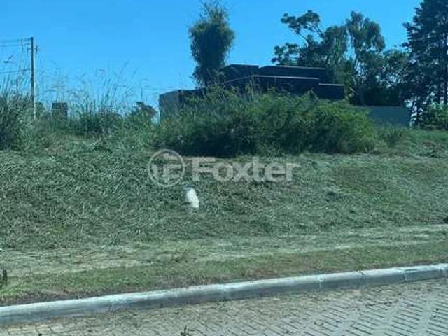 Terreno / Lote para Venda em Gravataí/RS São Vicente
