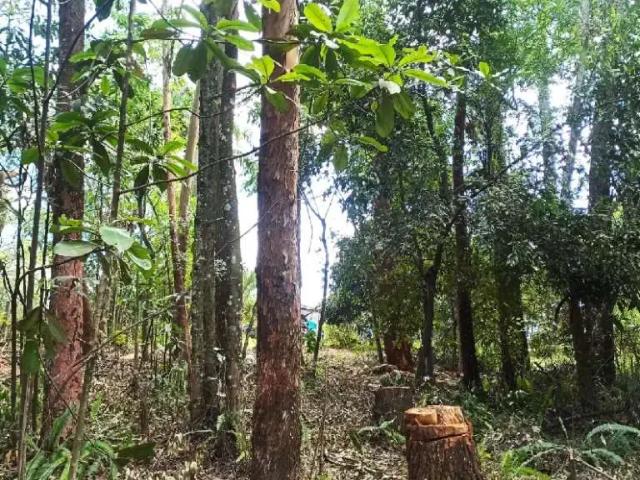 Terreno / Lote para Venda em Gravataí/RS São Cristóvão