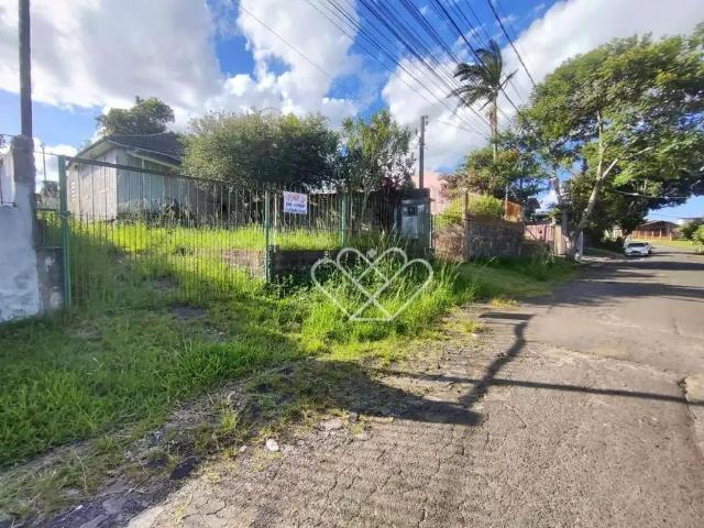 Terreno / Lote para Venda em Gravataí/RS Salgado Filho