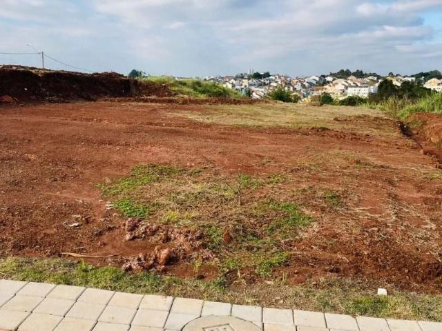 Terreno / Lote para Venda em Gravataí/RS Santa Cruz