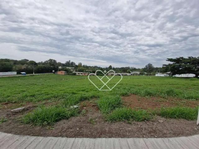 Terreno / Lote para Venda em Gravataí/RS Santo Antônio