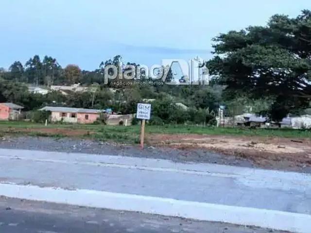 Terreno / Lote para Venda em Gravataí/RS Santo Antônio