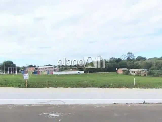 Terreno / Lote para Venda em Gravataí/RS Santo Antônio