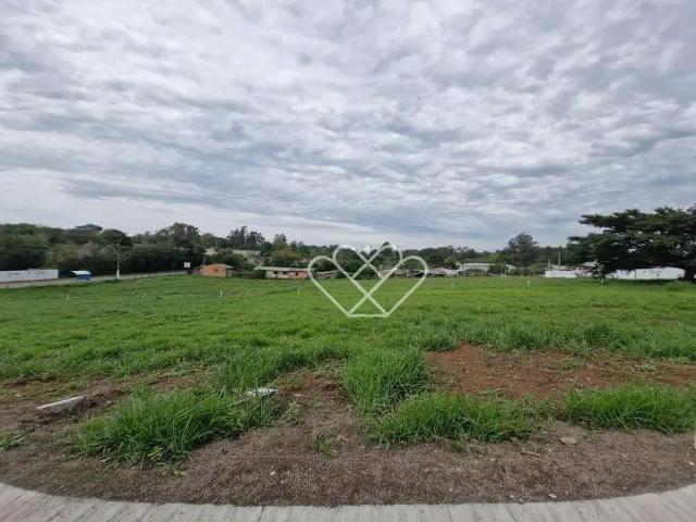 Terreno / Lote para Venda em Gravataí/RS Santo Antônio