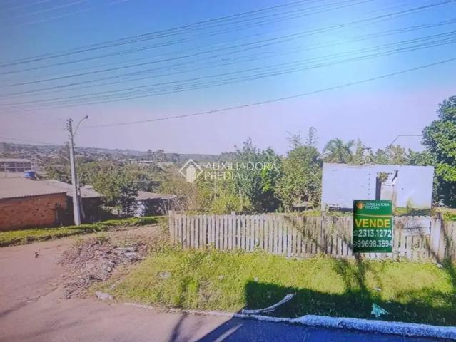 Terreno / Lote para Venda em Gravataí/RS Vila Cledi