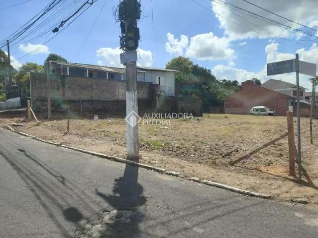 Terreno / Lote para Venda em Gravataí/RS Vila Branca