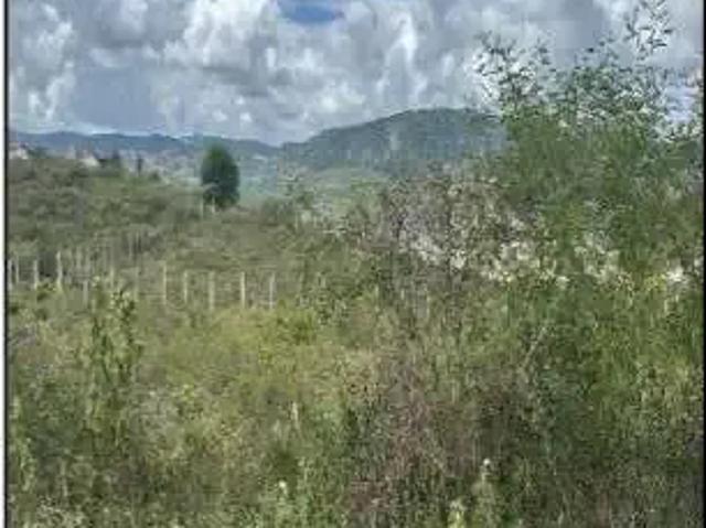 Terreno / Lote para Venda em Gravatá/PE Cruzeiro