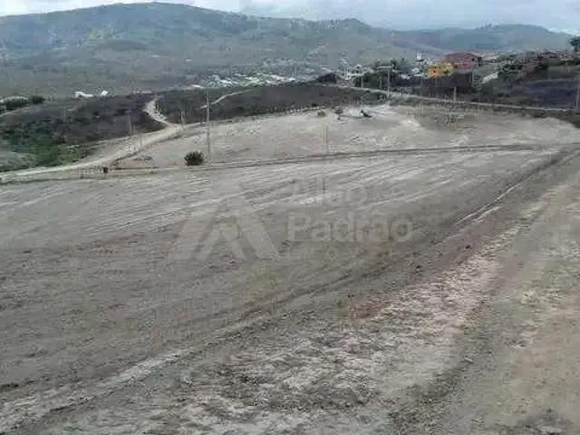 Terreno / Lote para Venda em Gravatá/PE Cruzeiro