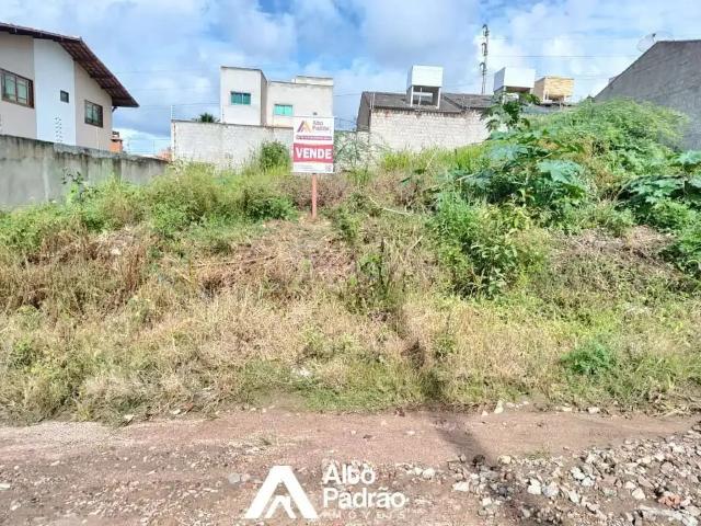 Terreno / Lote para Venda em Gravatá/PE Cruzeiro