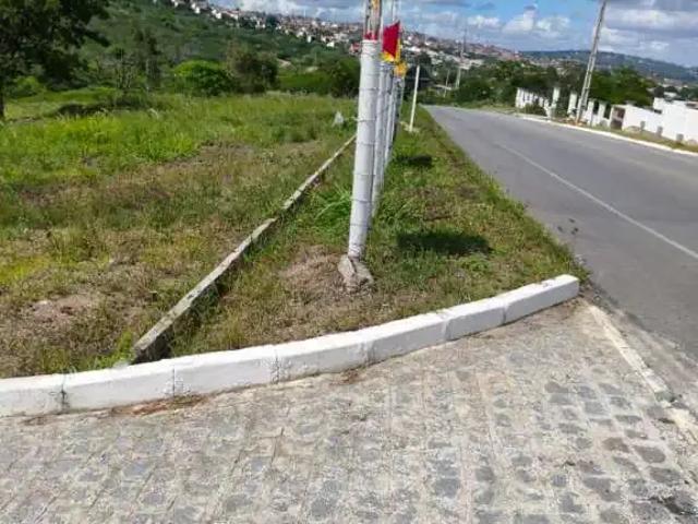 Terreno / Lote para Venda em Gravatá/PE Cruzeiro