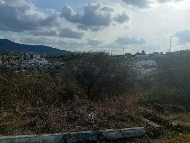 Terreno / Lote para Venda em Gravatá/PE Cruzeiro