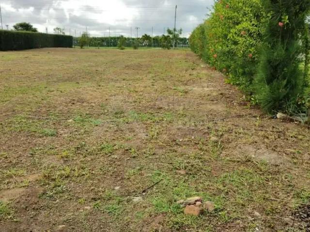 Terreno / Lote para Venda em Gravatá/PE Alpes Suiços