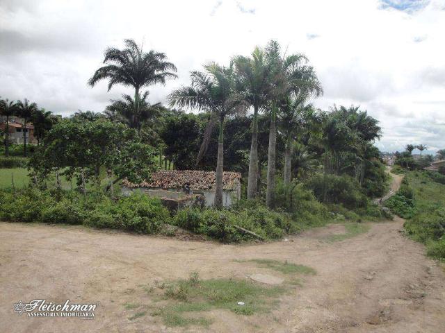Terreno / Lote para Venda em Gravatá/PE Gravatá Centro