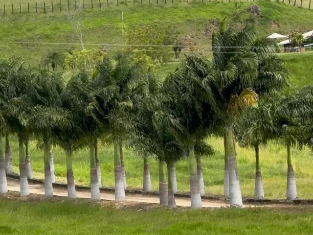 Terreno / Lote para Venda em Gravatá/PE Mandacaru