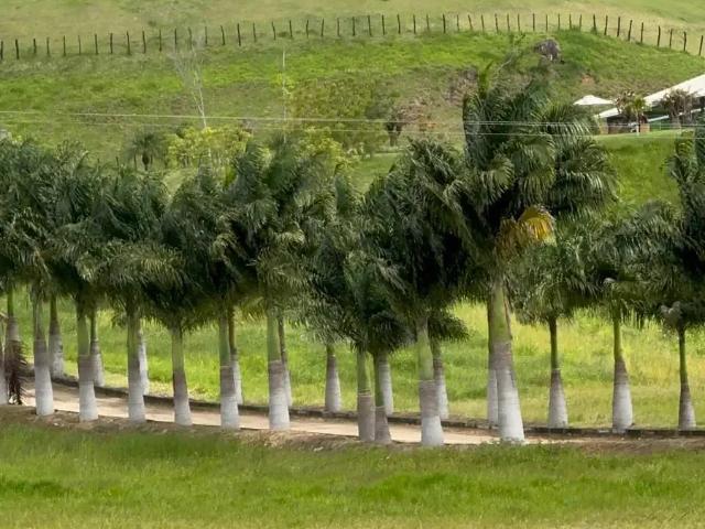 Terreno / Lote para Venda em Gravatá/PE Mandacaru