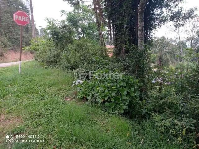 Terreno / Lote para Venda em Gramado/RS Carazal