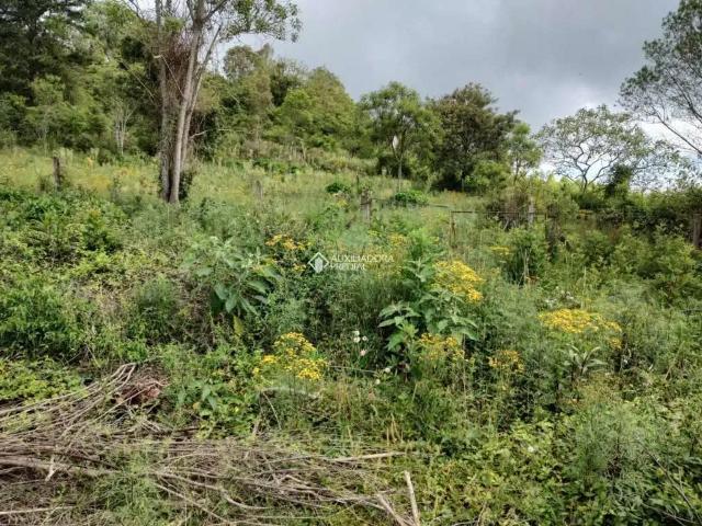 Terreno / Lote para Venda em Gramado/RS Carazal