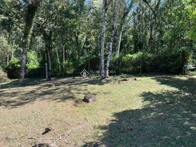 Terreno / Lote para Venda em Gramado/RS Carazal