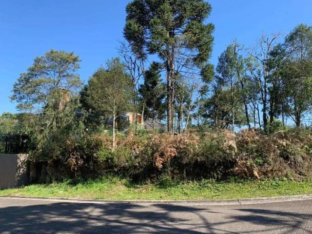 Terreno / Lote para Venda em Gramado/RS Carniel
