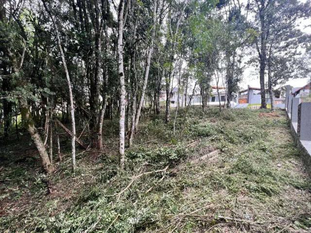 Terreno / Lote para Venda em Gramado/RS Carniel