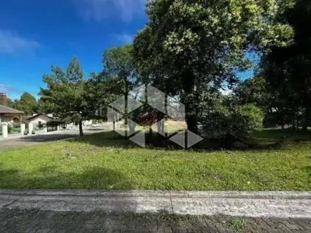 Terreno / Lote para Venda em Gramado/RS Carniel