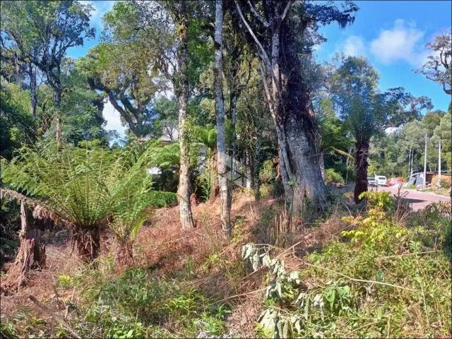 Terreno / Lote para Venda em Gramado/RS Carniel