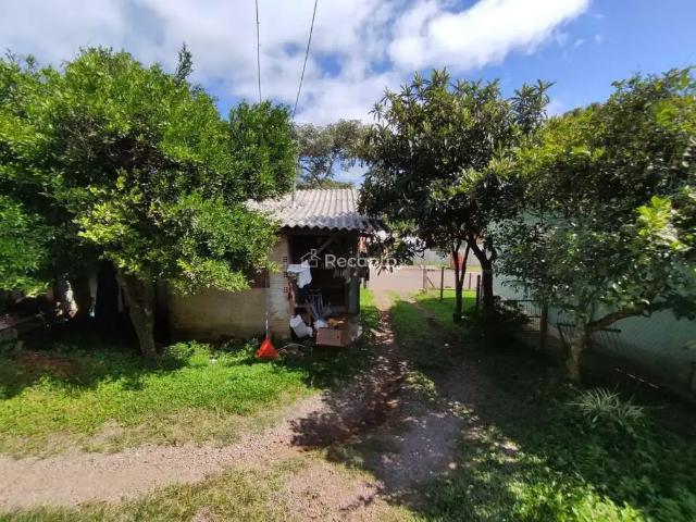 Terreno / Lote para Venda em Gramado/RS Carniel