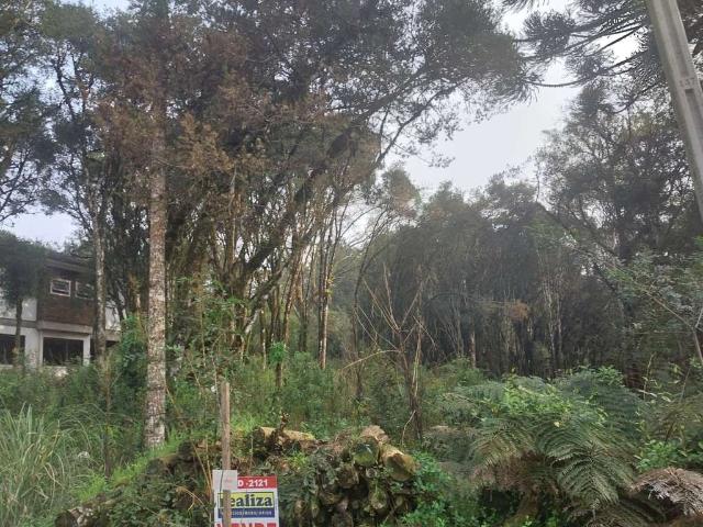 Terreno / Lote para Venda em Gramado/RS Carniel