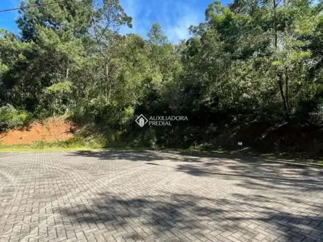 Terreno / Lote para Venda em Gramado/RS Centro