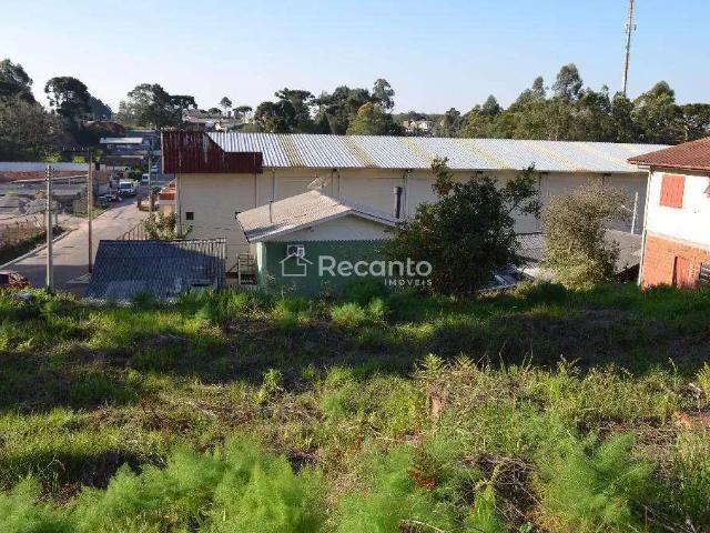 Terreno / Lote para Venda em Gramado/RS Centro