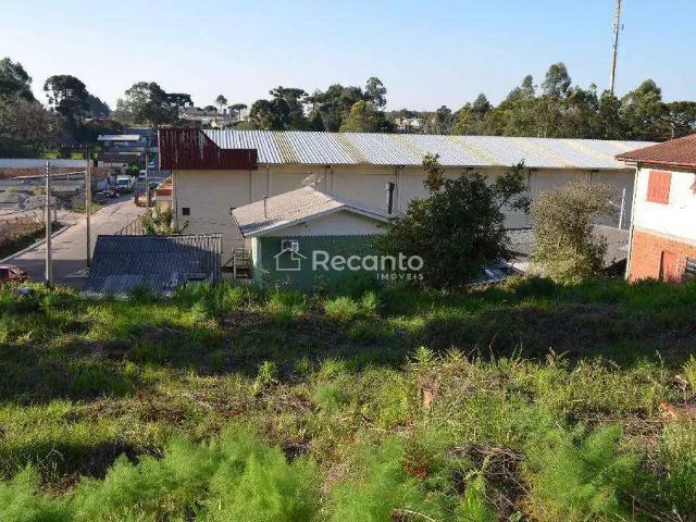 Terreno / Lote para Venda em Gramado/RS Centro