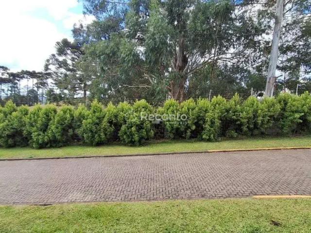 Terreno / Lote para Venda em Gramado/RS Aspen Mountain