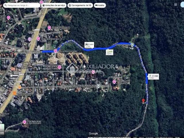 Terreno / Lote para Venda em Gramado/RS Avenida Central