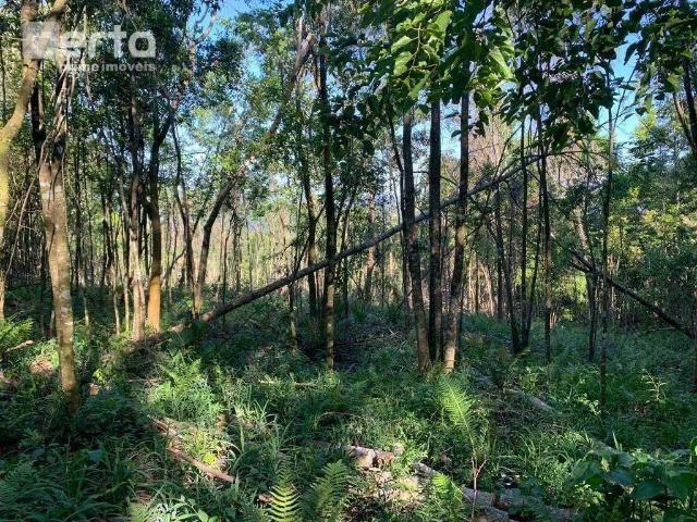 Terreno / Lote para Venda em Gramado/RS Belvedere