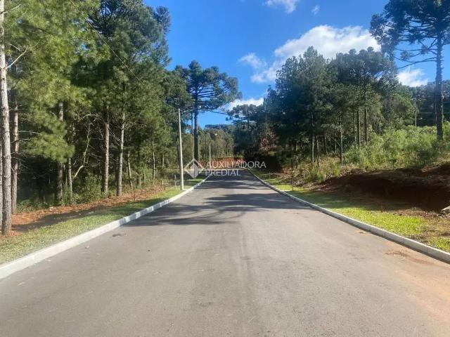 Terreno / Lote para Venda em Gramado/RS Dutra