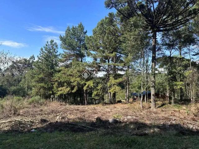 Terreno / Lote para Venda em Gramado/RS Dutra